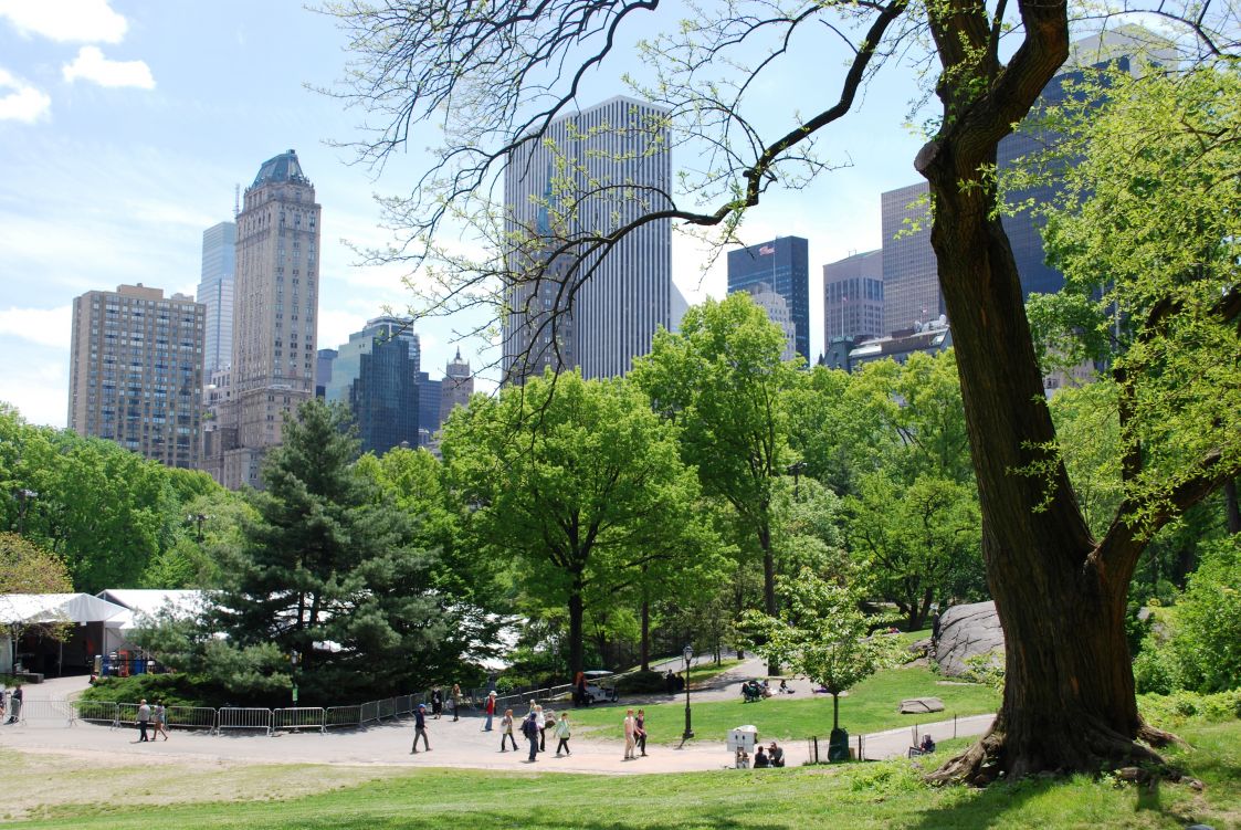 Central Park New York